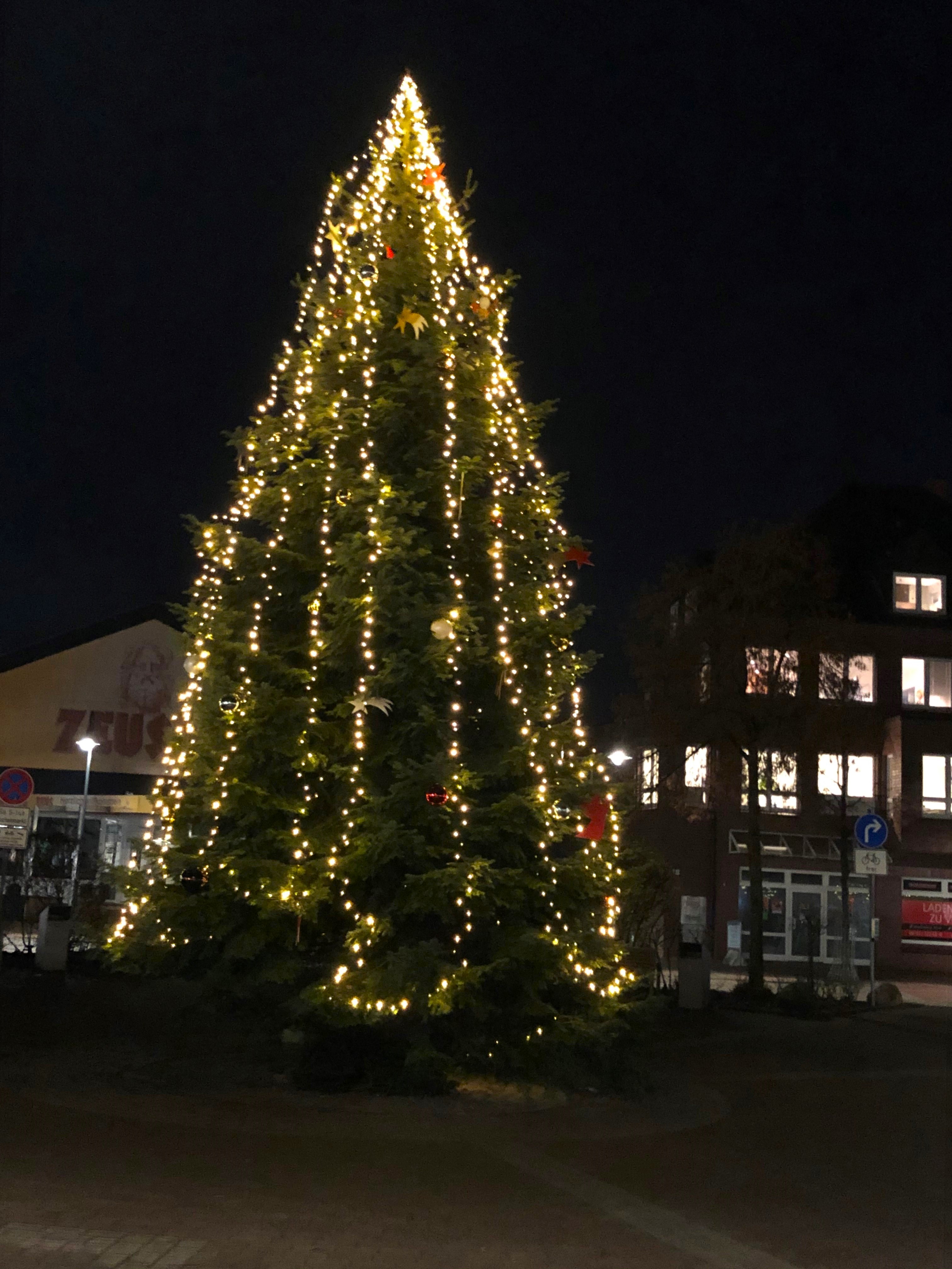 Weihnachtsbaum Kaltenkirchen